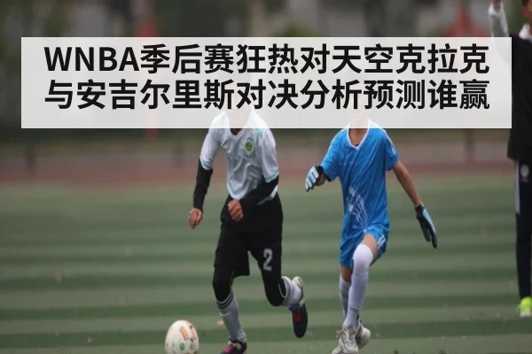 WNBA季后赛狂热对天空克拉克与安吉尔里斯对决分析预测谁赢